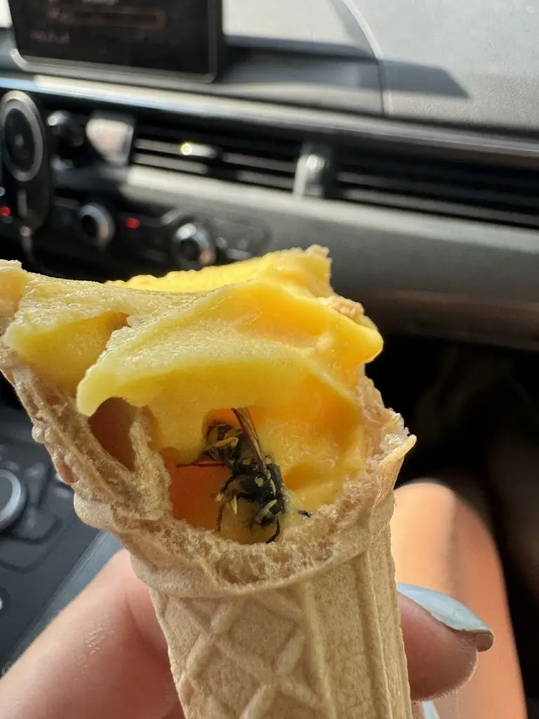 Kristýna Hyráková_Quick Food Bistro - Rozvoz jídla_Řepiště_review