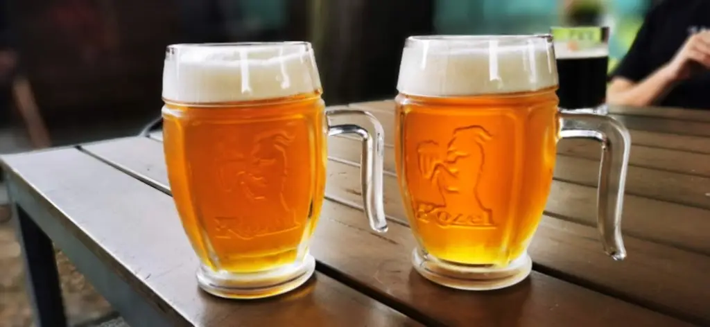 Menu_Restaurace penzion Silma_Rychvald_image_5