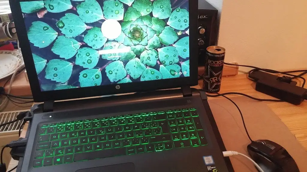 Restaurace U Pechů restaurant in Sedlnice