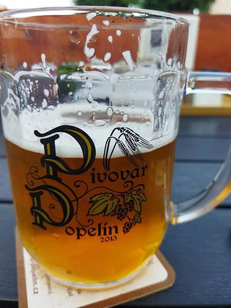 Menu_U Děravýho kotle_Kunžak_immagine_5