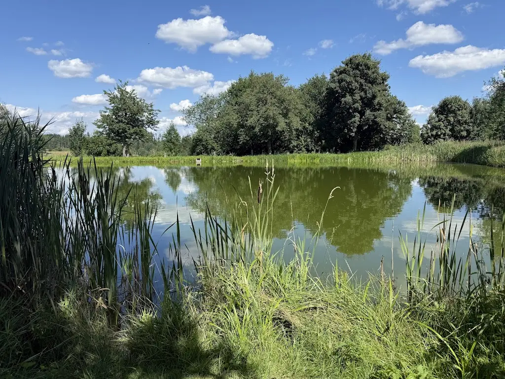 Jiří Šuhájek_Občerstvení u Vodníka_Kunžak_review