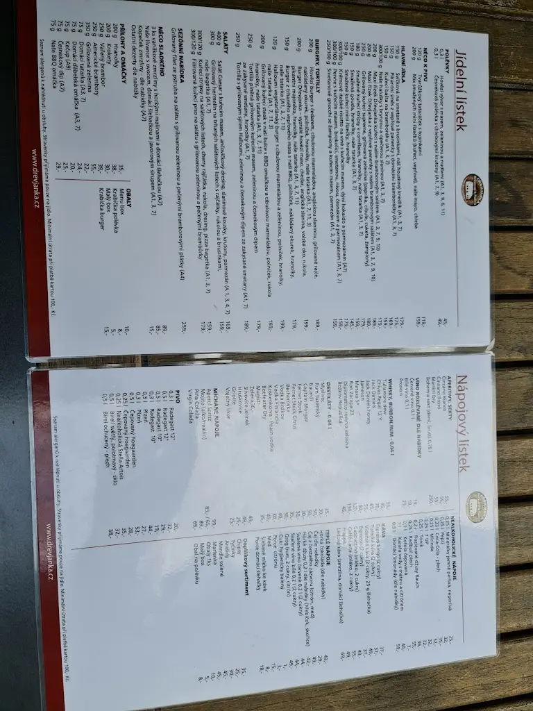 Menu_Dřevjanka pizza, s.r.o._Šenov_image_3