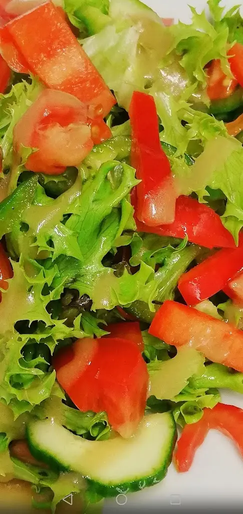 Václav Solich_Dřevjanka pizza, s.r.o._Šenov_review