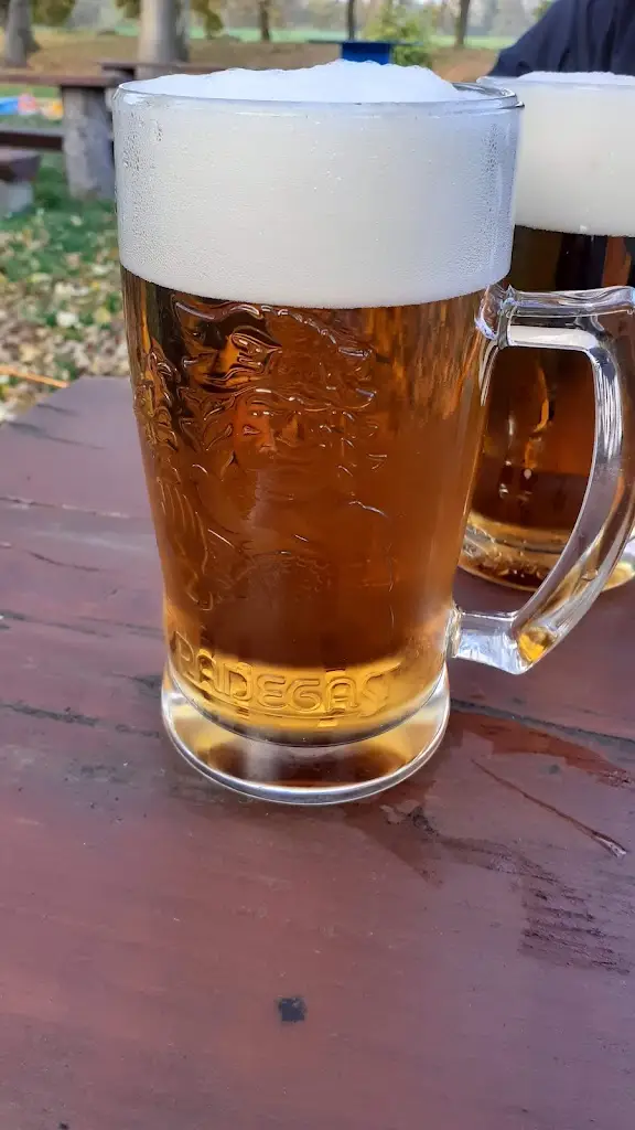 Menu_Restaurace Odra_Stará Ves nad Ondřejnicí_image_4