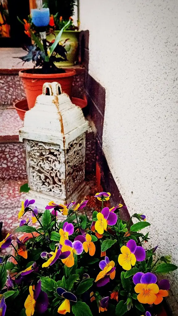 Jan Šlosar_Restaurace Odra_Stará Ves nad Ondřejnicí_review