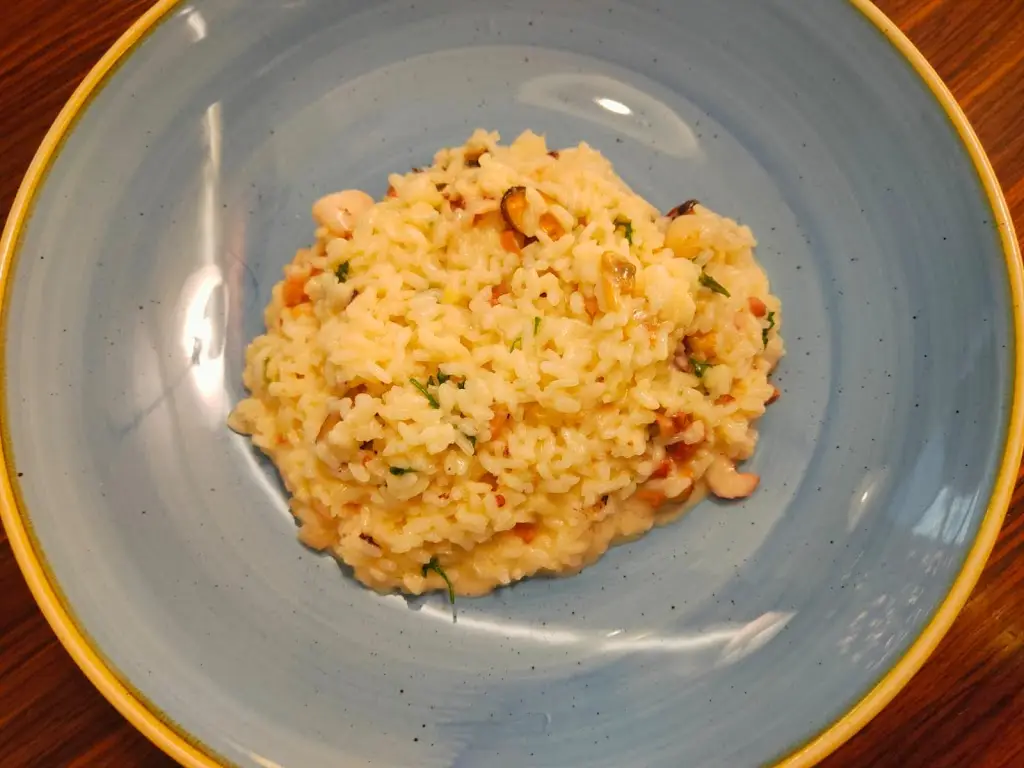 Alisa Krotov_Pizzeria San Marco_Písek_review