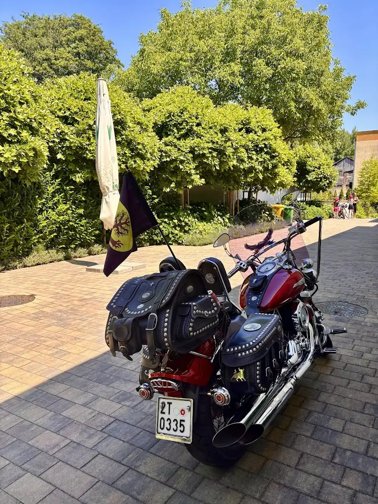 Alena Lalíková_Obecní dům_Štěpánkovice_recensione