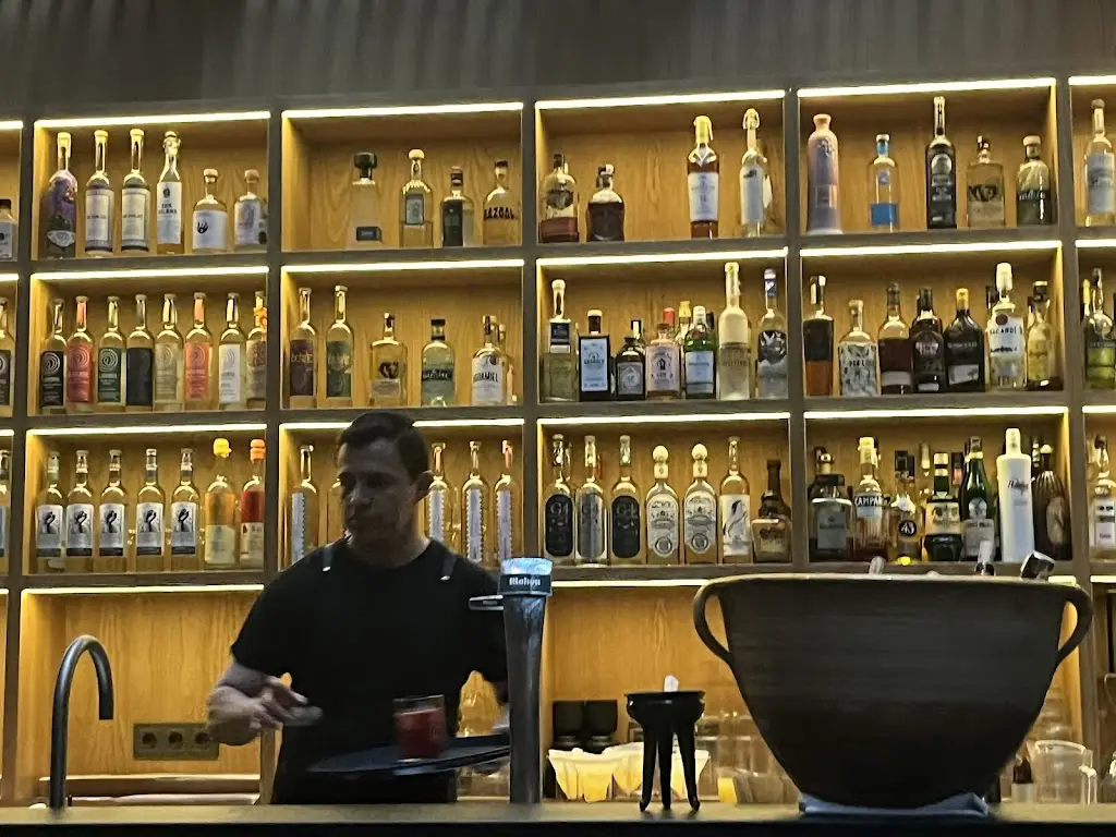 alicia baylina_Ticuí l Mexican Restaurant Madrid_Tichá_review