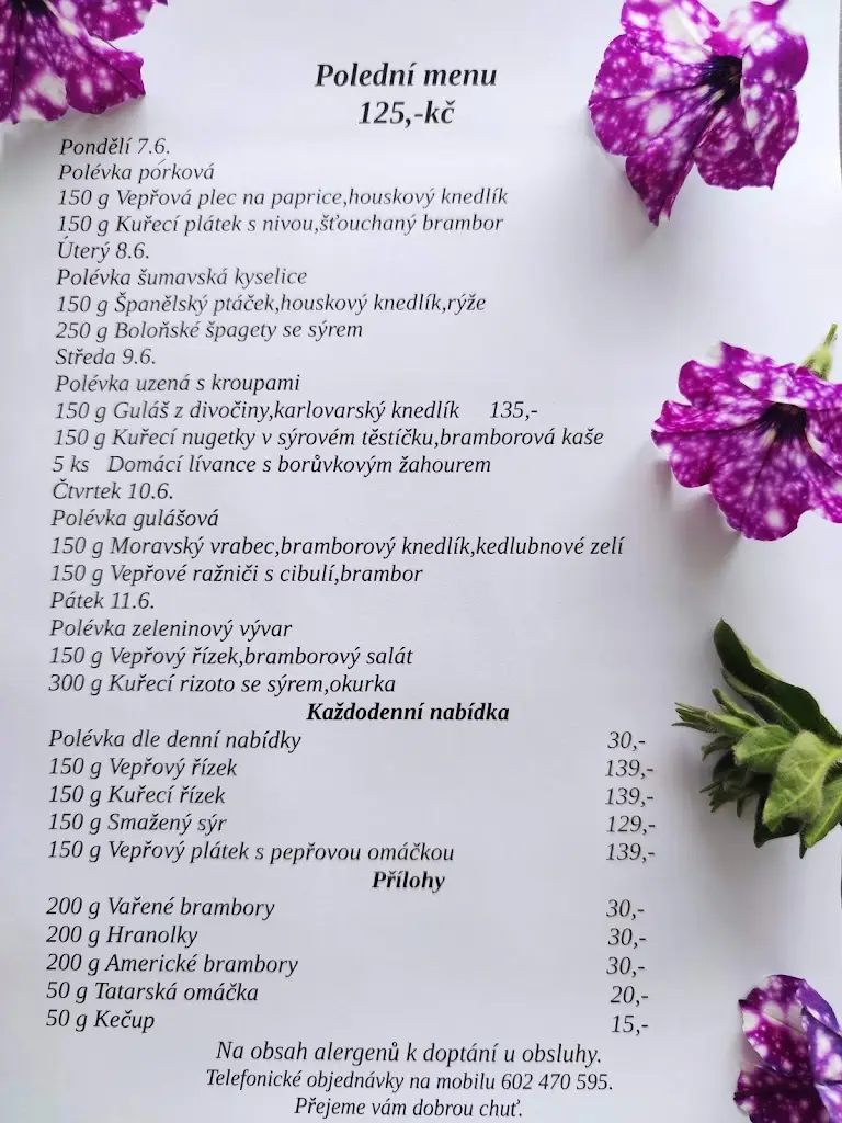 Menu_Ledenická Hospůdka_Ledenice_image_3