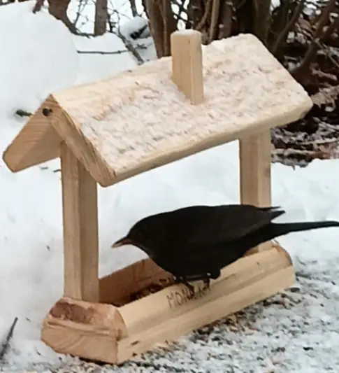 Egypto_Studénka_slider_image_1