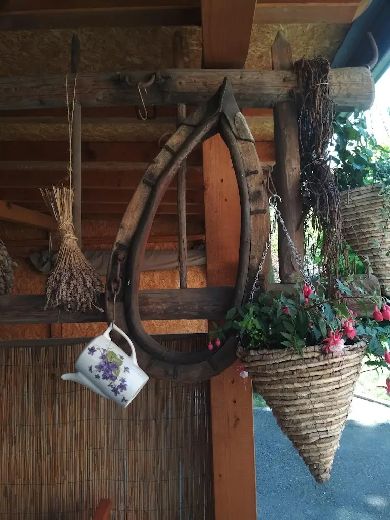 Sasha Chagina_Cyklobar a penzion 100dola - ubytování v okolí Opavy_Velké Hoštice_review