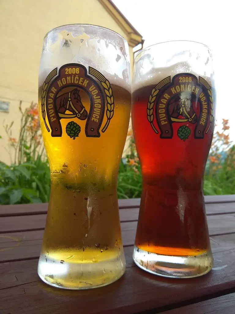 Menu_Czytelnia - Restaurace & Pub_Vendryně_image_5