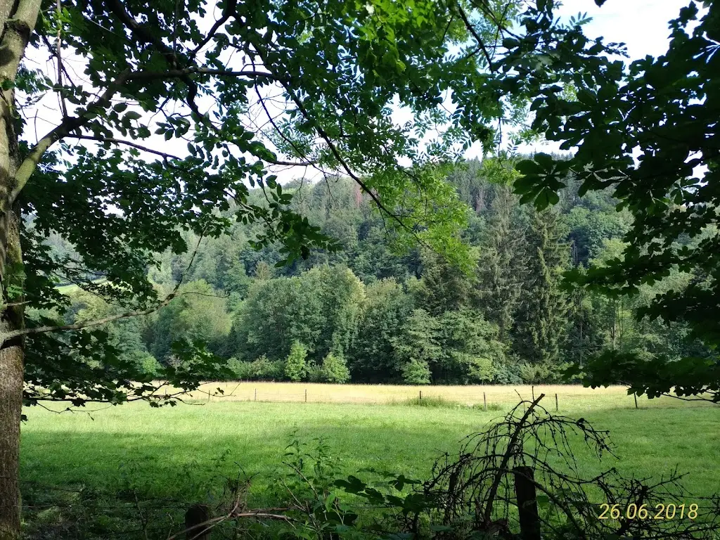 Gornionka restaurant in Vendryně