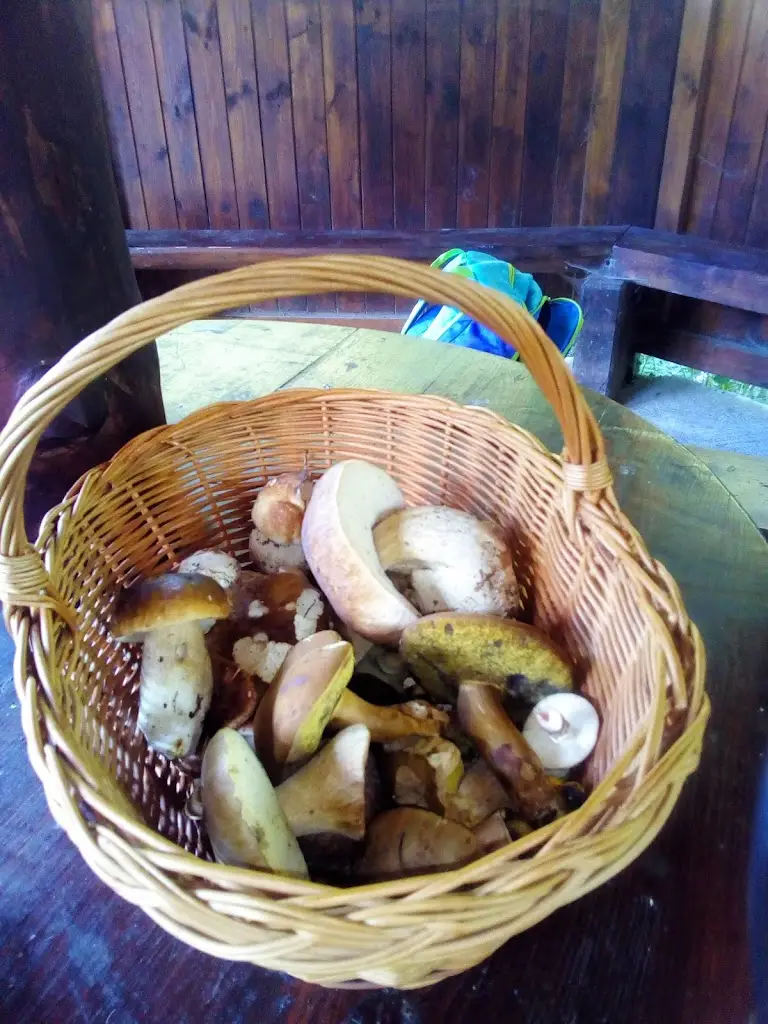 Jana Zapulova_Lyžařský klub Veřovice, z.s._Veřovice_recensione