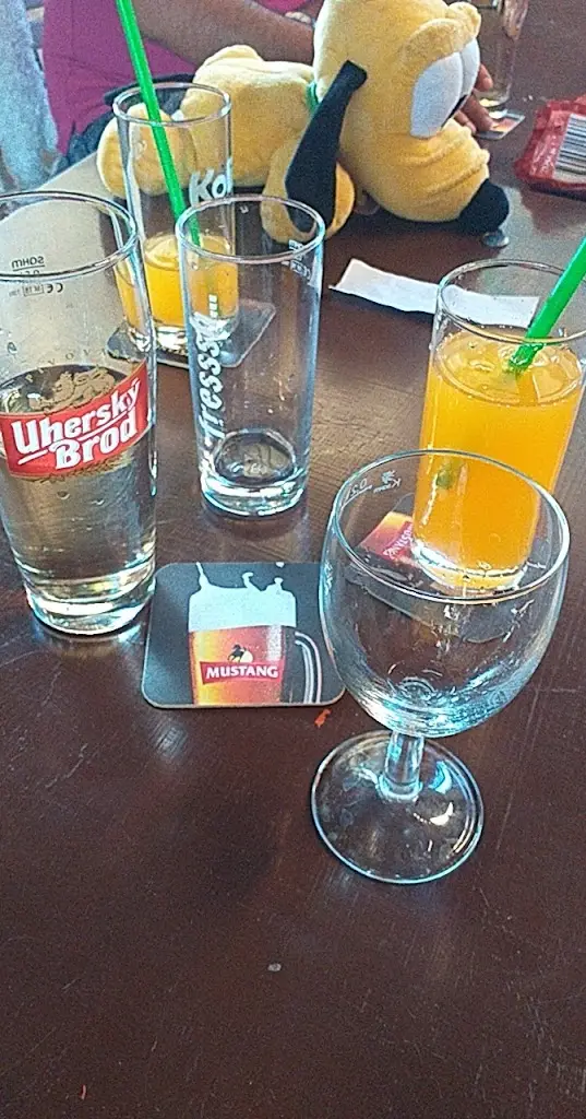 Aranka Grulikova_RESTAURACE NA SOKOLOVNĚ_Vlčnov_review