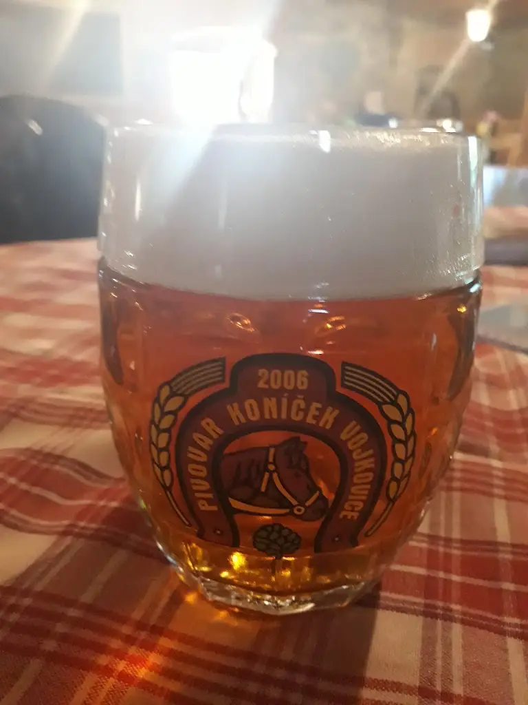 Menu_Restaurace Františkův Dvůr_Vítkov_immagine_5