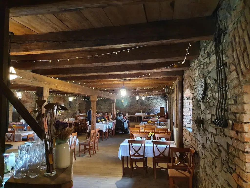 Judit Vanek-Molnar_Restaurace Františkův Dvůr_Vítkov_recensione