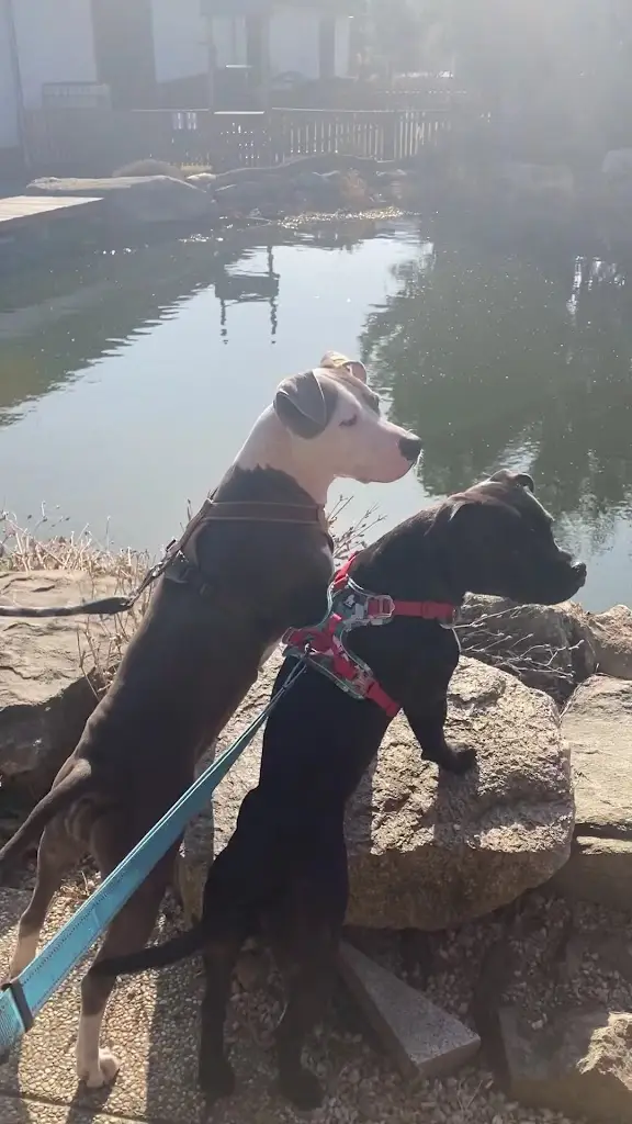 Ekofarma Upper Chrášťany_Lhenice_slider_image_2