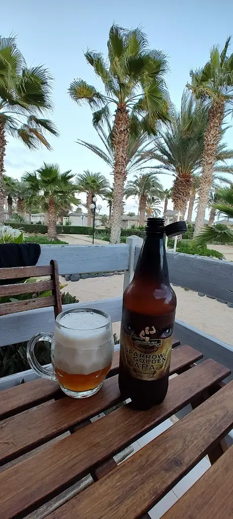 Martin Holub_Penzión a pivovar Brabčák_Vratimov_recensione