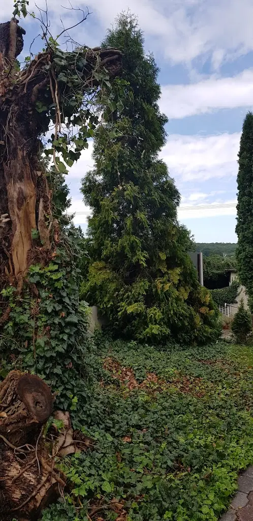 Agnija S_Penzion Muraty_Vřesina_review