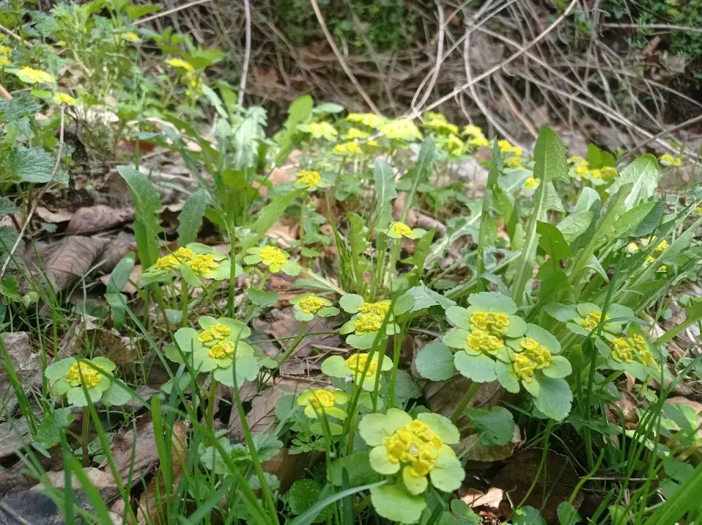 Petr Ťoupalík_Parkhotel Vrbno_Vrbno pod Pradědem_review