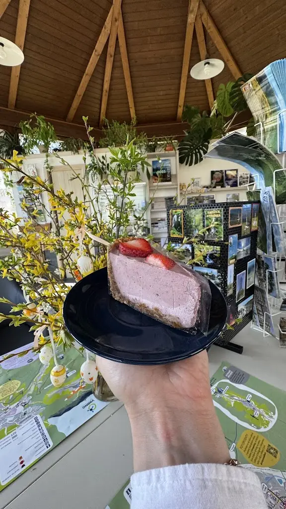 Kateřina Horská_Vildort_Vrbno pod Pradědem_review