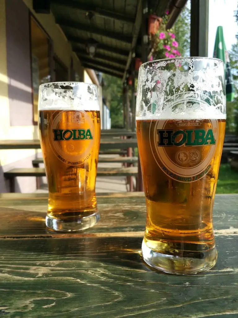 Menu_Hospůdka u Dřevasu_Vrbno pod Pradědem_image_4