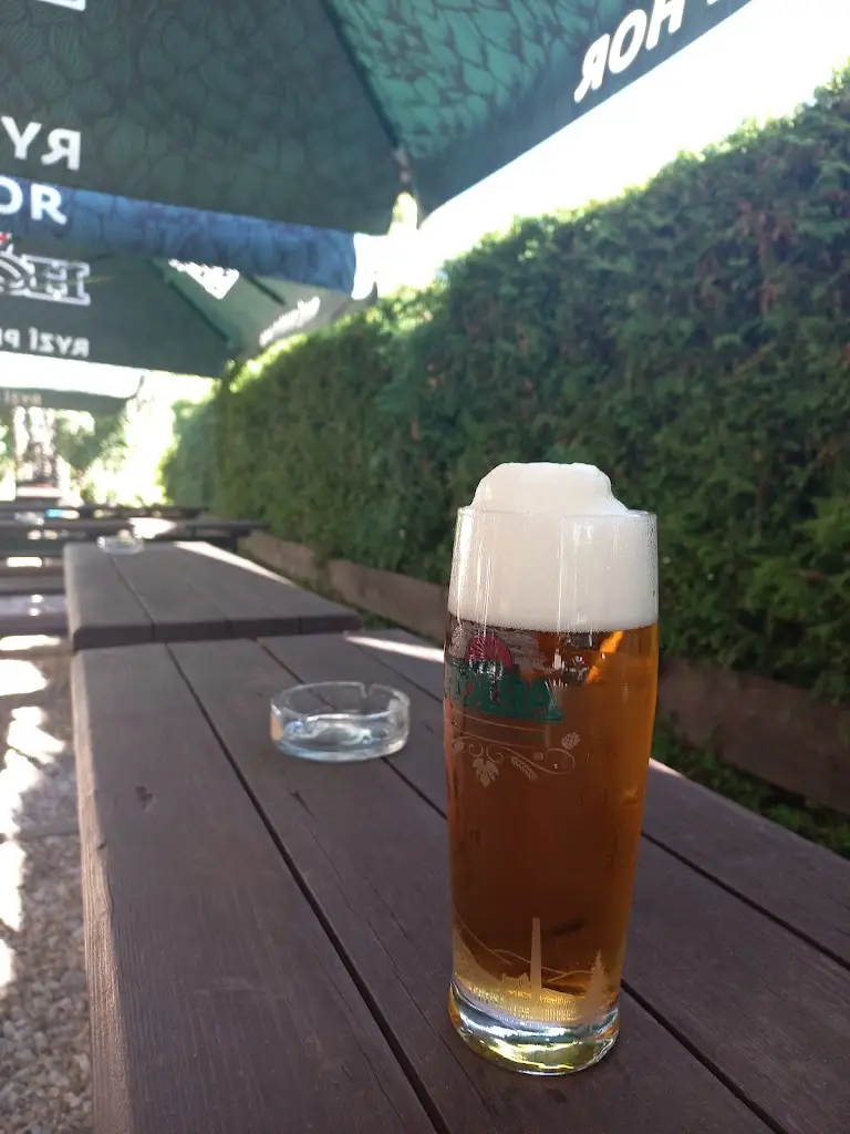 Jana Bartoňová_Hospůdka u Dřevasu_Vrbno pod Pradědem_review