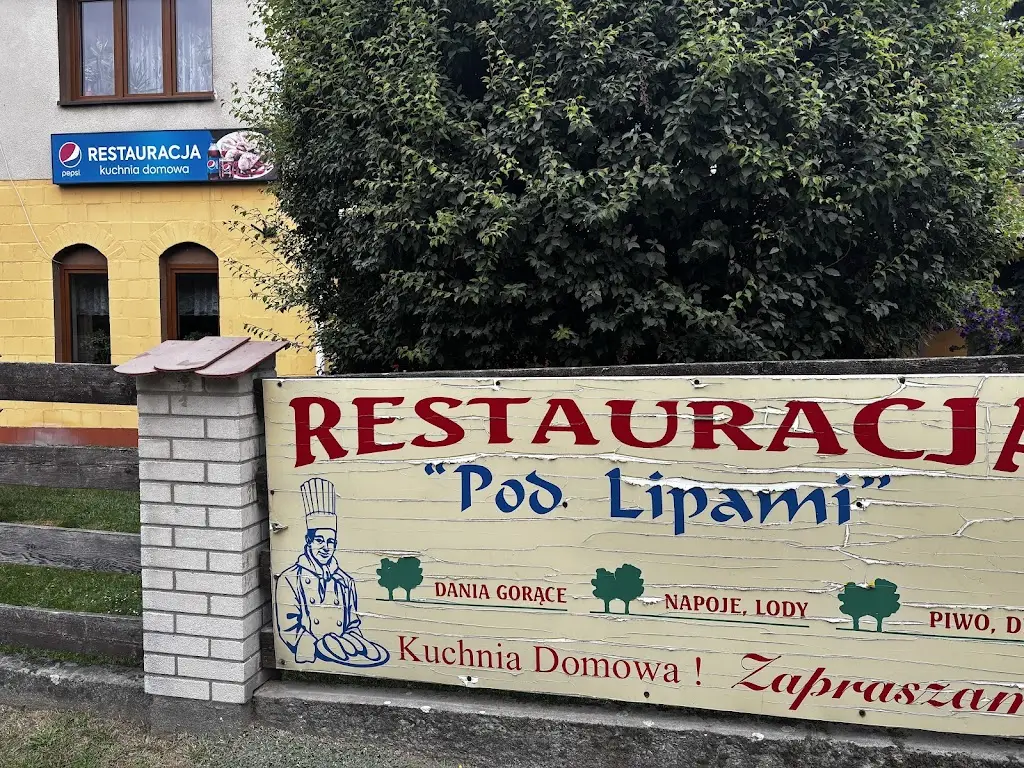 Paulius Černiauskas_Pod Lipami_Zátor_review