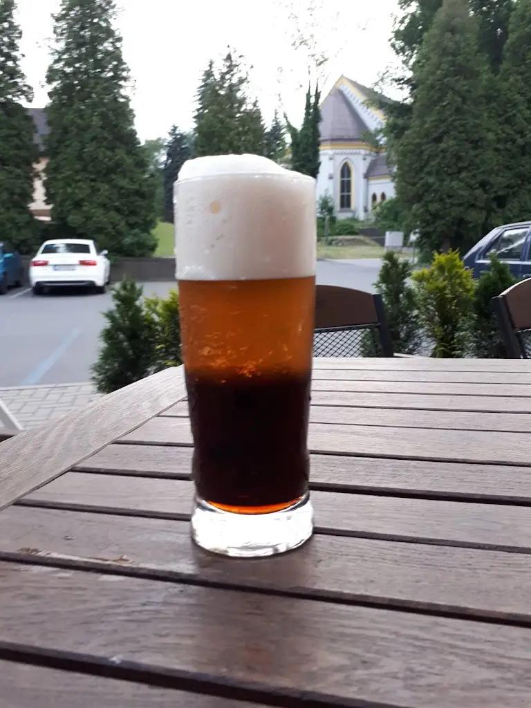 Menu_Restaurace Lidový Dům_Třinec_image_4