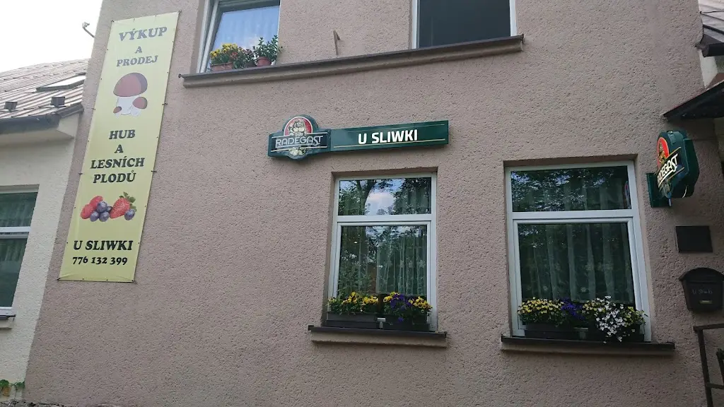 Hospoda U Sliwki restaurant in Třinec