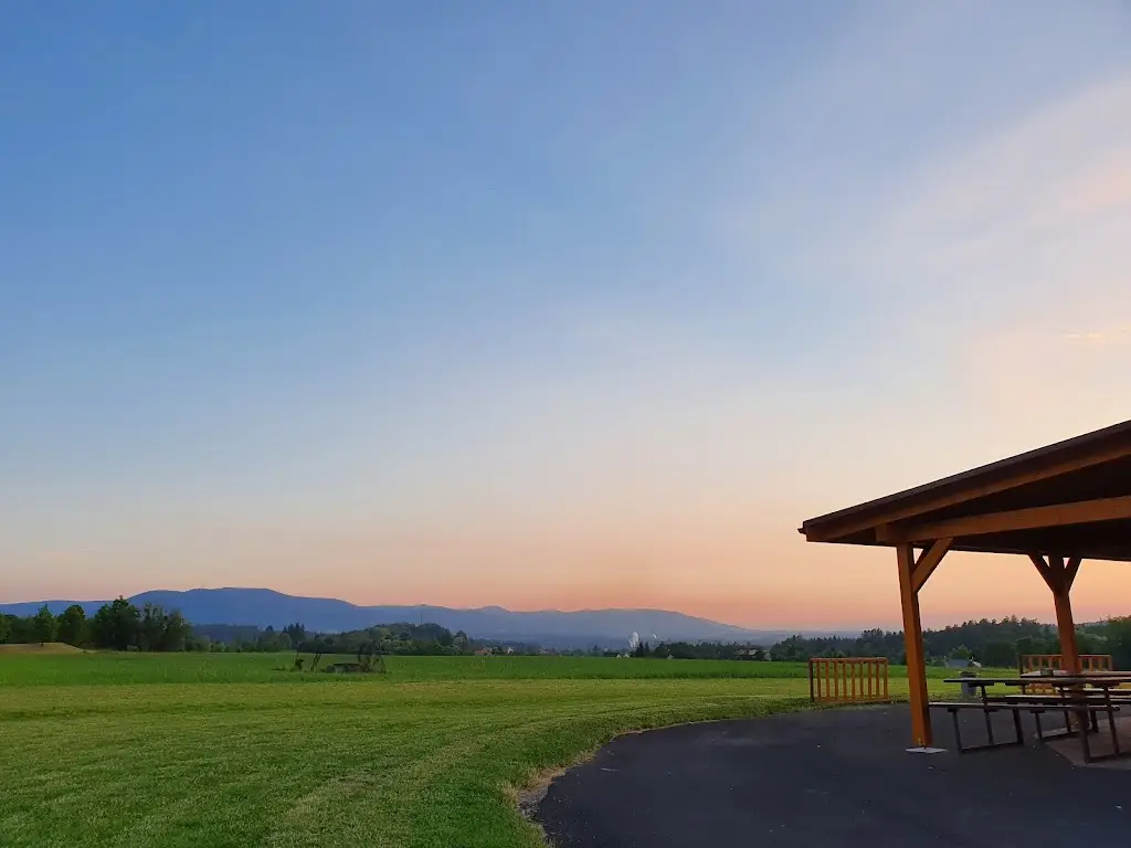 mira C_Pivex S.r.o._Třinec_review