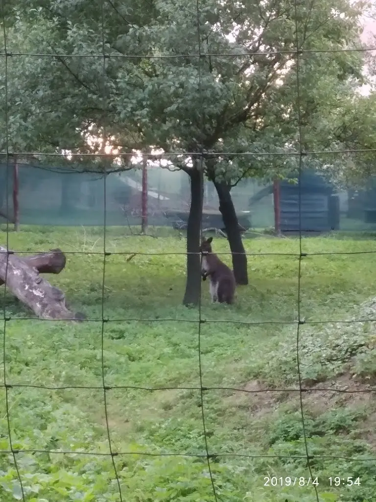 Czeslaw Podlesny_Letní zahrádka U Klokana_Třinec_review