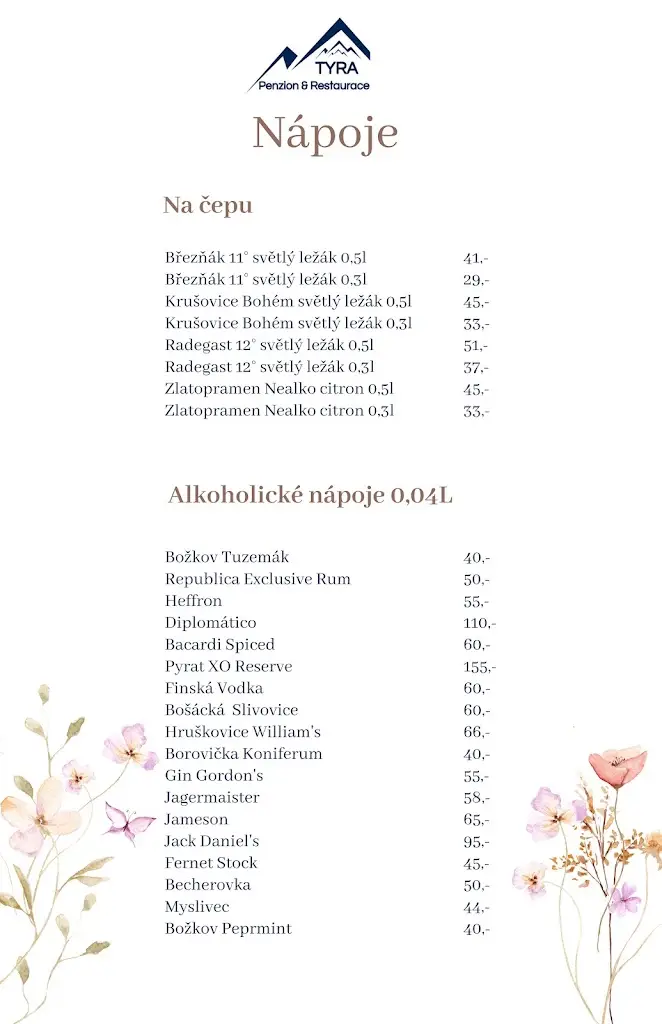 Menu_Pension Tyra_Třinec_image_1