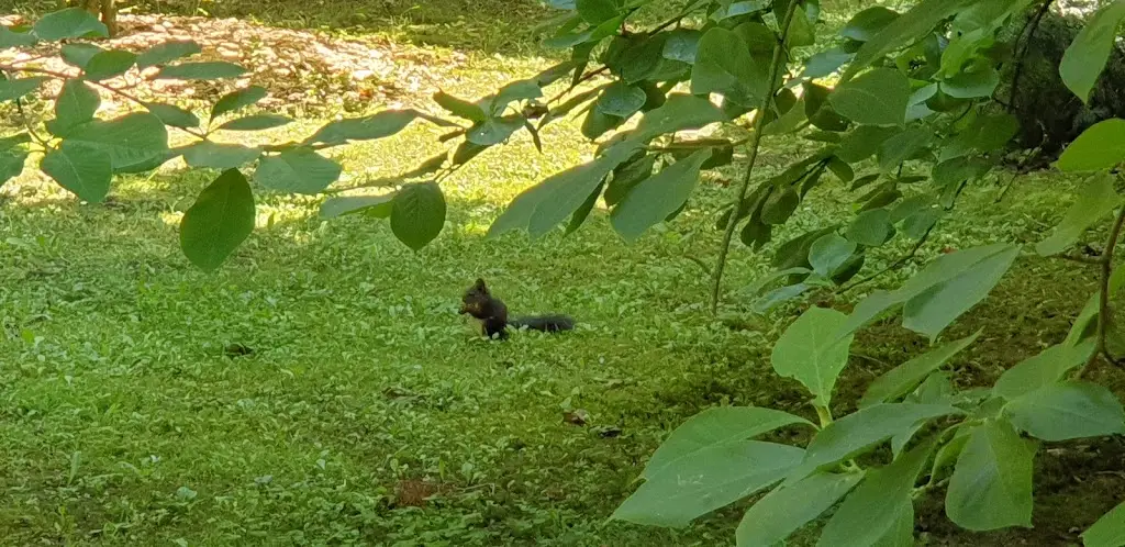 Linda Medková_Arboretum Bílá Lhota_Bílá Lhota_review