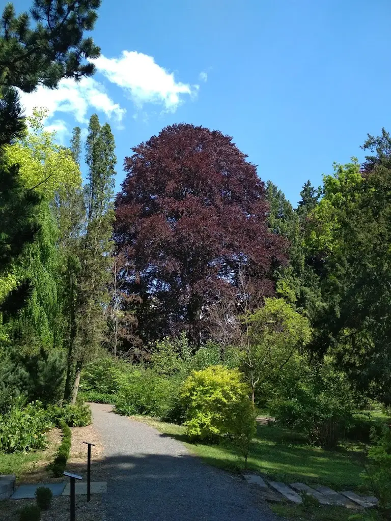 Arboretum Bílá Lhota_Bílá Lhota_slider_image_1