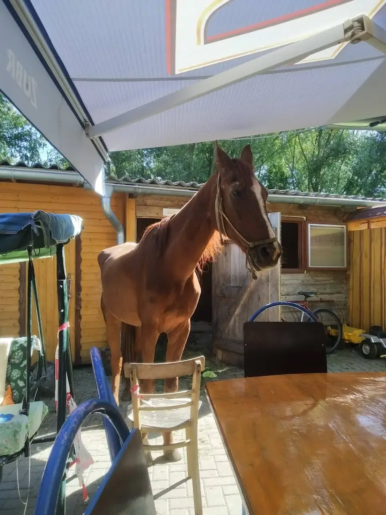 Saloon Podkova_Bohuňovice_slider_image_3