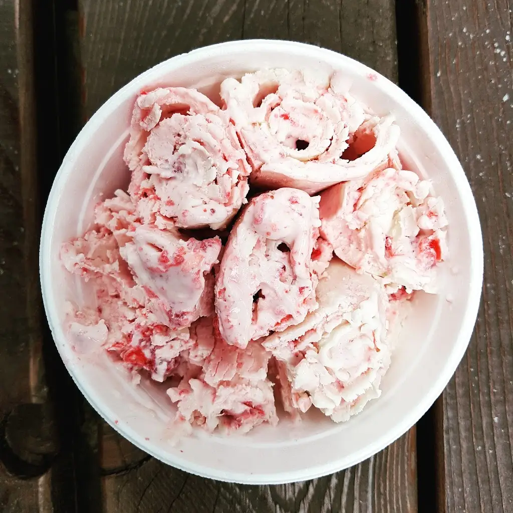 Kate Rusnak Photography_Levandulová zahrádka_Bouzov_review