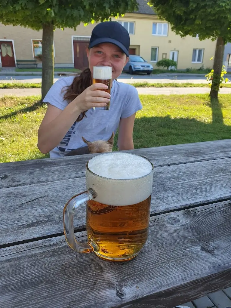 Pohostinství u hřiště restaurant in Doloplazy