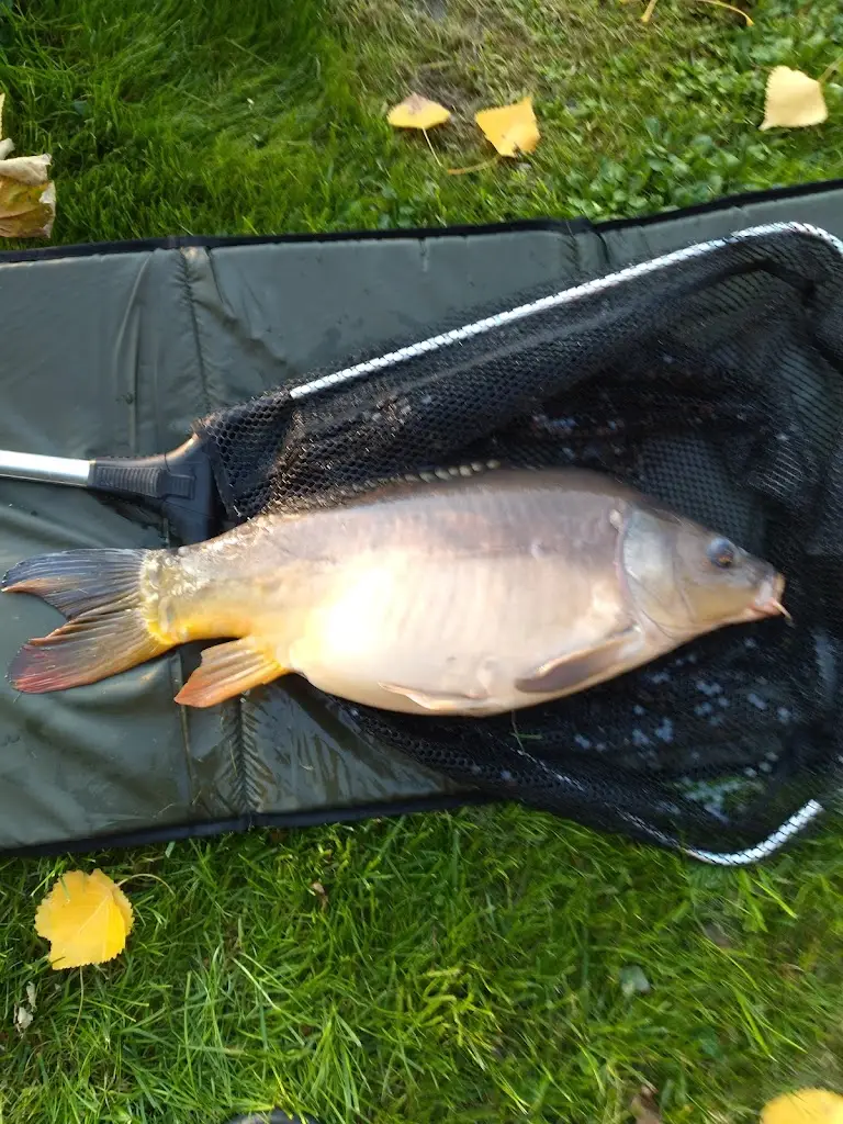 Menu_Na rybníčku v Beruni_Doloplazy_image_4