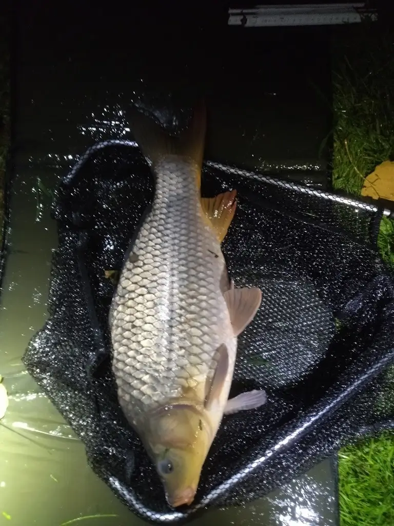 Menu_Na rybníčku v Beruni_Doloplazy_image_5