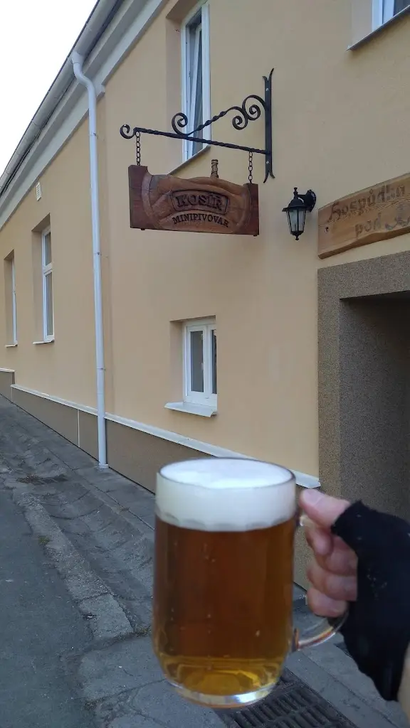 Sergii Kalytchuk_Microbrewery Kosíř_Drahanovice_review