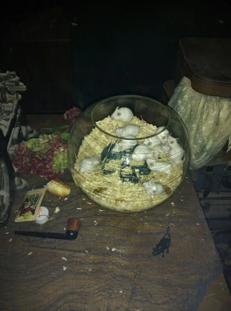 Menu_Bistro Rymice_Dřevohostice_immagine_1