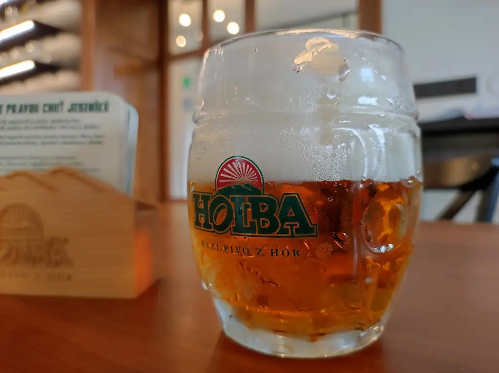 Dagmar Dosedlova_Pivovarská restaurace Holba_Hanušovice_review