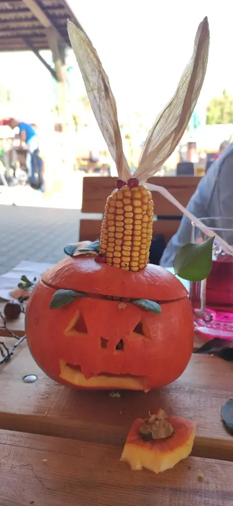 Milan Novák_Hospůdka na Sokoláku_Grygov_review