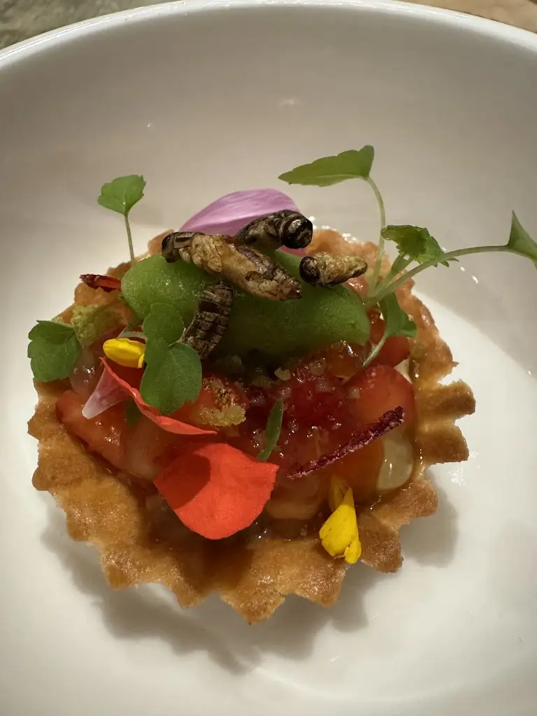 Jeff Sheldon_Entrée Restaurant_Grygov_recensione