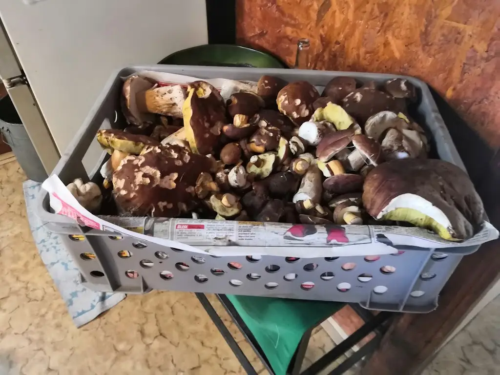 Menu_Restaurace Klondike_Grygov_image_4