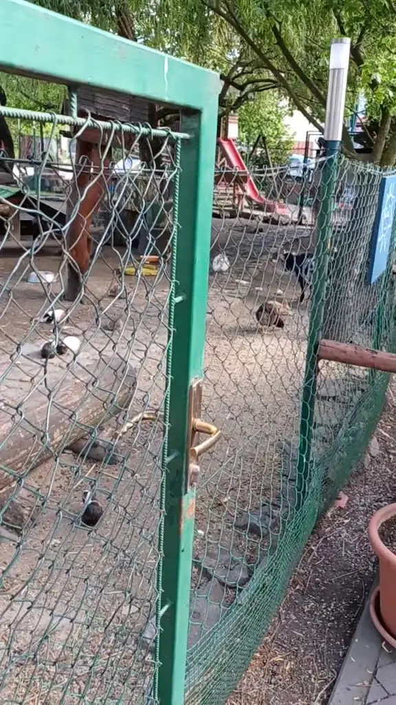 The Boarder Inn_Kojetín_slider_image_2