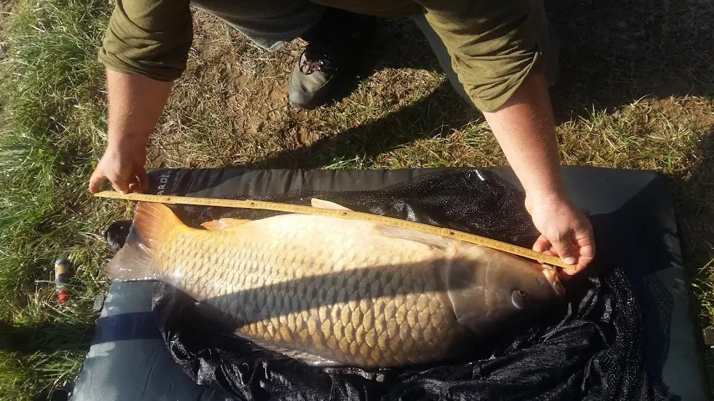 Menu_Čertovy rybníky_Konice_image_4