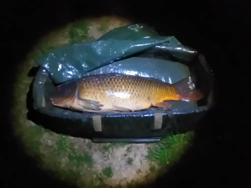 Šárka Klosová_Čertovy rybníky_Konice_review